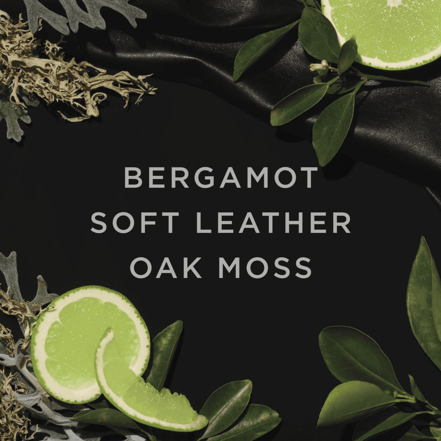 Avon Black Suede Eau de Toilette, Classic Scent, 3.4 fl oz (2-Pack)