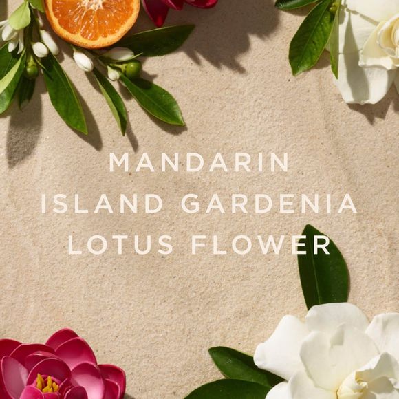 LYRD Coastal Lotus Eau de Parfum