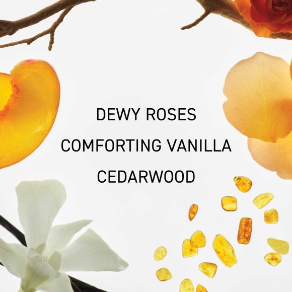 LYRD Vanilla Rose Eau de Parfum